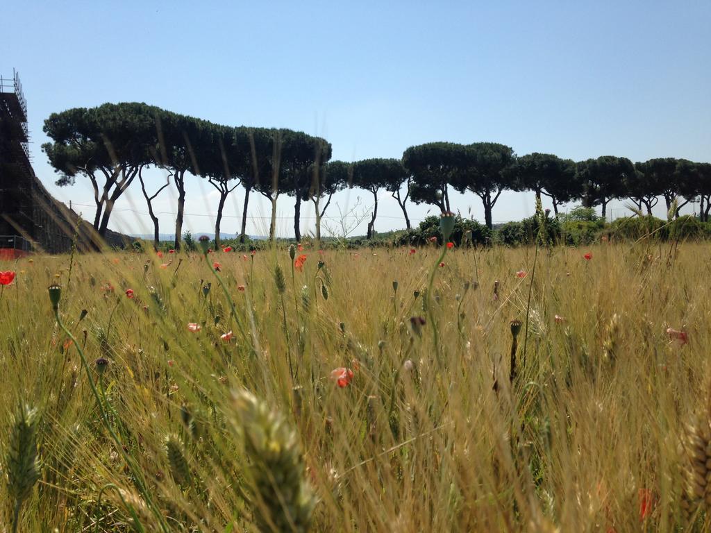 Inn Rome B&B *